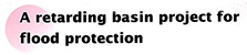 A retarding basin project for fllod protection